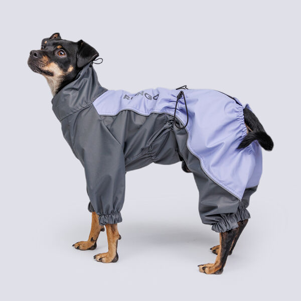 Дождевик для собак пород вестхайл и джек рассел, 40x63x35 см, лаванда серый (мальчик)