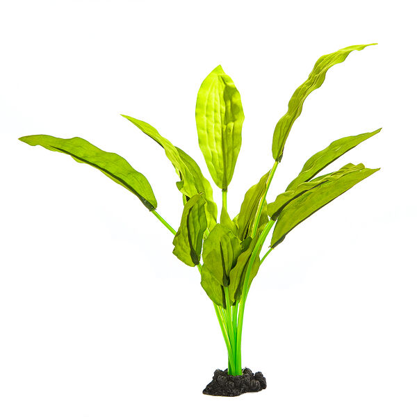 Декор для аквариума Растение шелковое Эхинодорус Селовианус, 30см