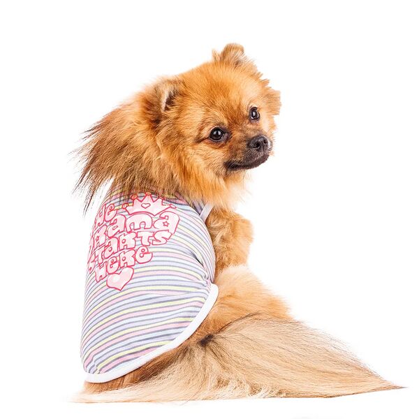 Футболка для собак S голубой (унисекс)