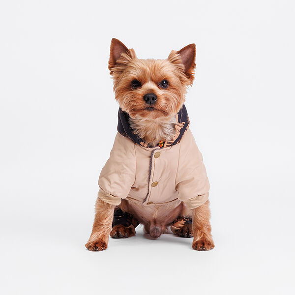 Комбинезон с капюшоном для собак S кофейный