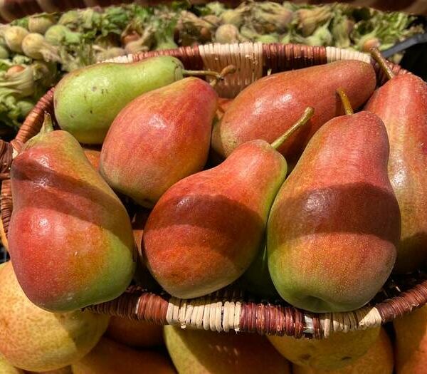 Груша Лесная красавица Азербайджан