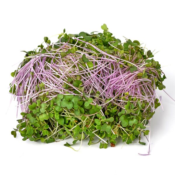 Микрозелень Микс Витаминный