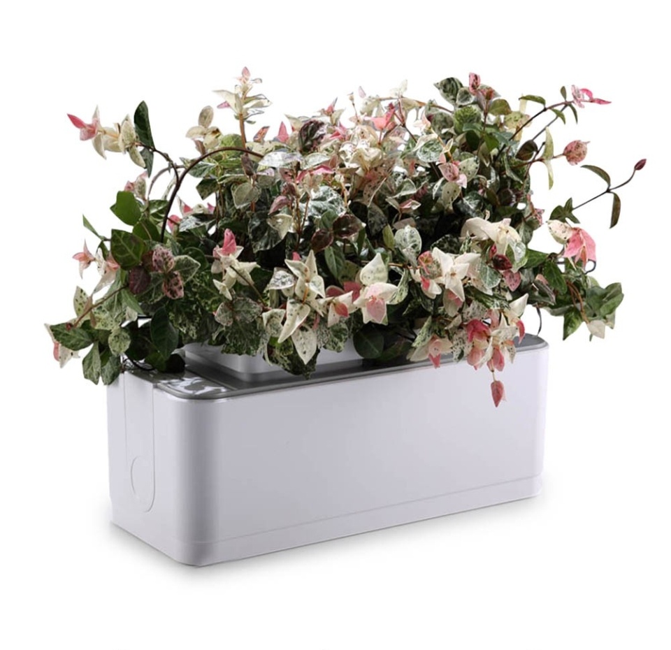 

Набор для выращивания iGarden Компактный смарт-сад 5+