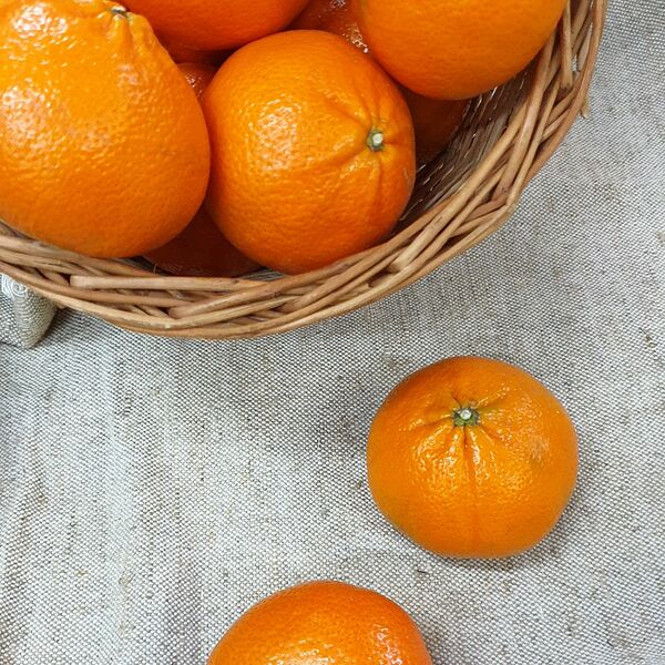 Мандарины Израиль