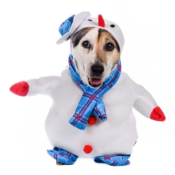 Костюм для собак Снеговик с ручками S голубой (унисекс)