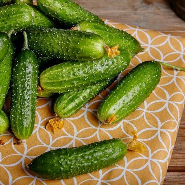 Огурцы Кураж (Danilovskymarket)