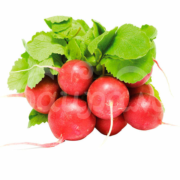 Редис  500гр фас