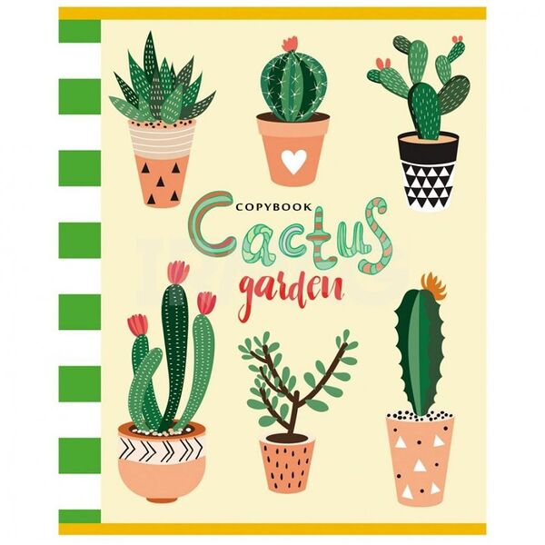 Тетрадь общая клетка кактусы в горшочках Profit