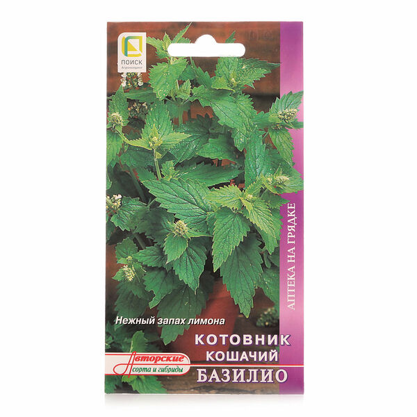 Котовник кошачий базилио ТМ Поиск агрохолдинг