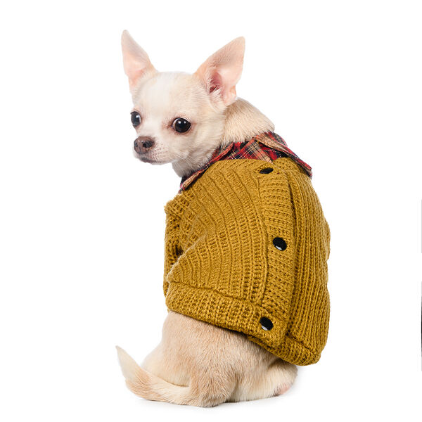 Свитер с пуговицами для собак XS желтый, унисекс