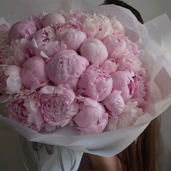 Букет из 19 нежно розовых пионов