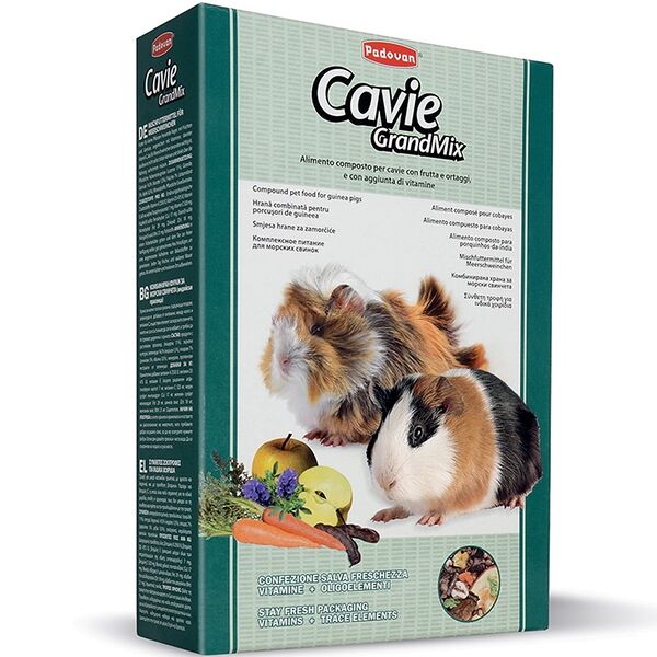 Корм PADOVAN для морских свинок Grandmix Cavie основной с витамином С, 850 г