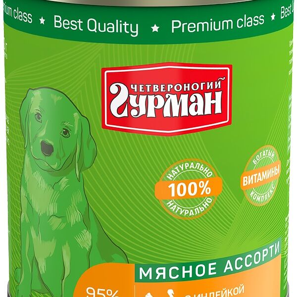 Четвероногий гурман 