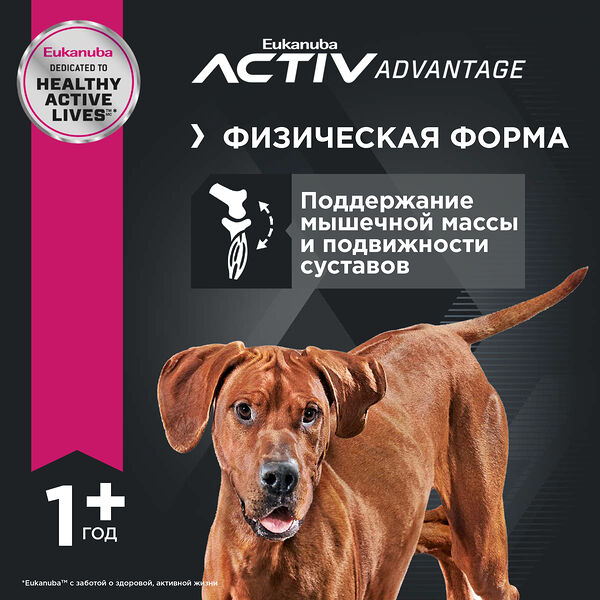 Eukanuba Dog для взрослых собак крупных пород Курица