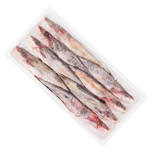 Сом охлажденный ОПТ