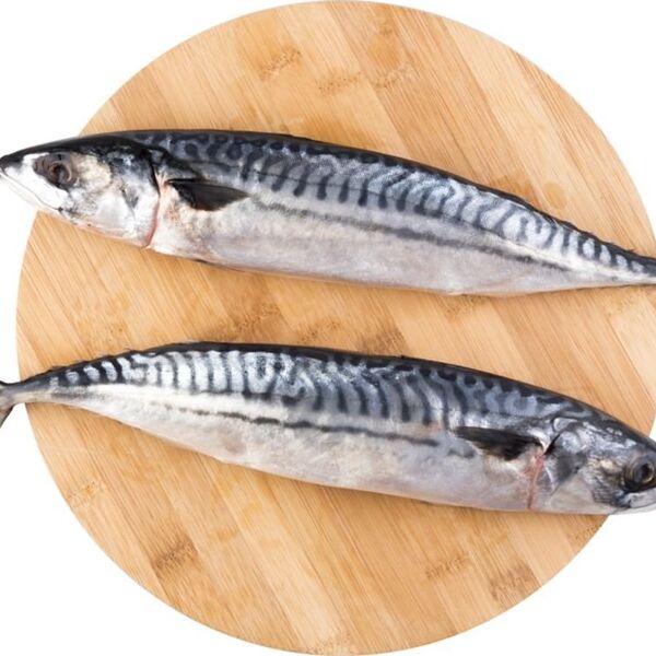 Скумбрия неразделанная охлажденная ТМ Глобус