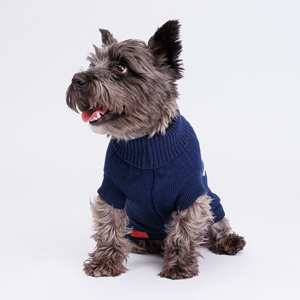 Свитер для собак, 45 см, синий с очками