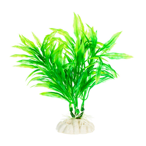 Растение трава 10см