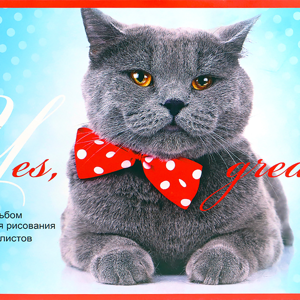 Альбом для рисования PROF-PRESS А4, 20 листов