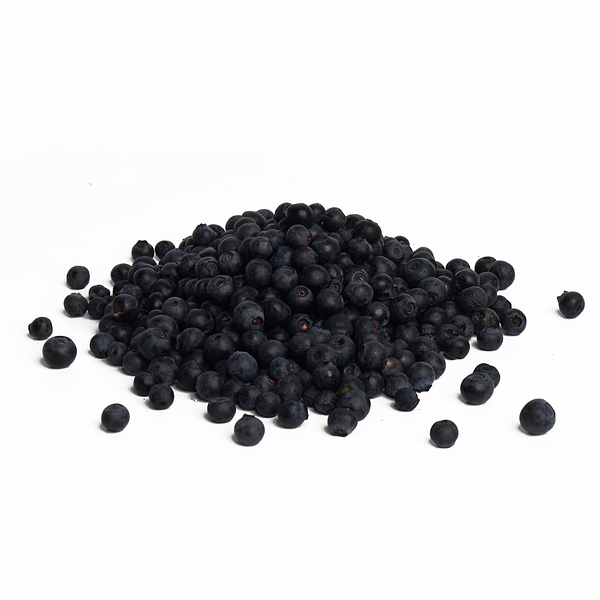 Черника лесная сезонная