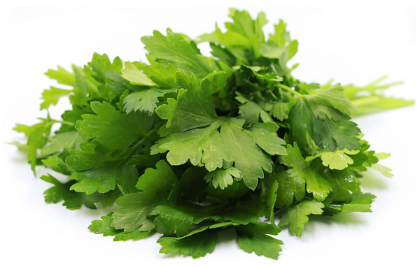 Петрушка Каждый день