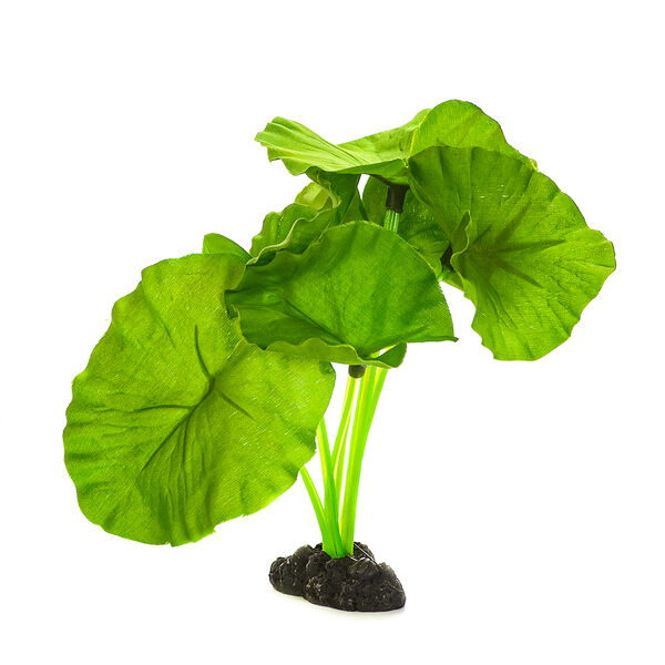 Декор для аквариума Растение шелковое Нимфея, зеленое, 13см