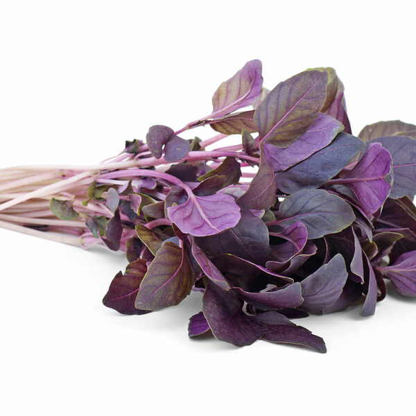 Базилик красный свежий на подложке ТМ Metro Chef (Метро Чиф)