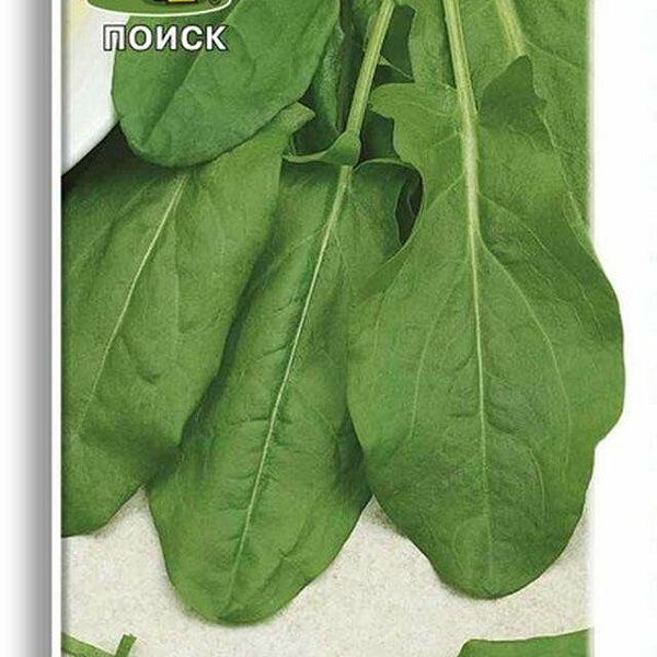 Семена Щавель Широколистый