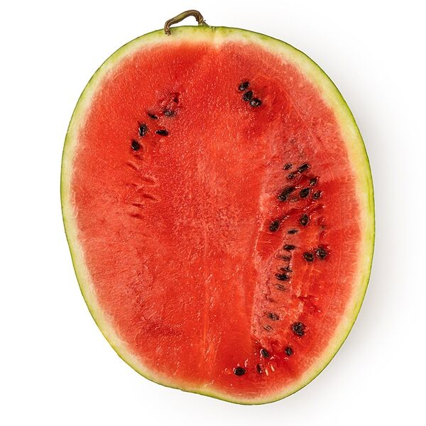 Арбуз весовой