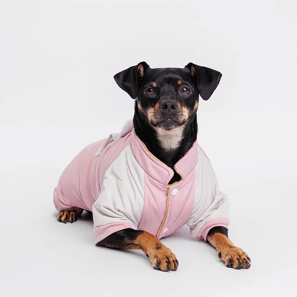 Комбинезон для собак Зайка, L, розовый (девочка)