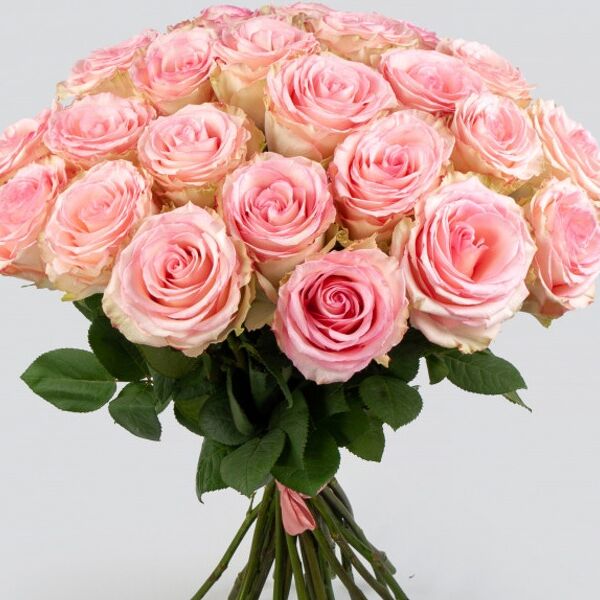 Букет из 25 роз Эсперанс (Эквадор), 60 см