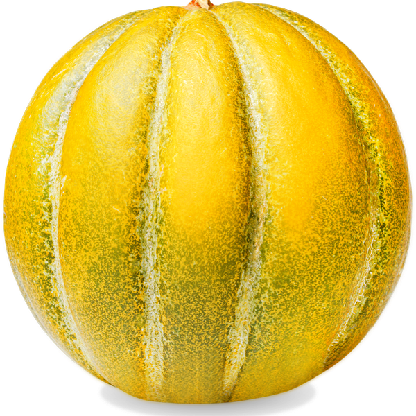 Дыня Эфиопка вес до 5.0кг