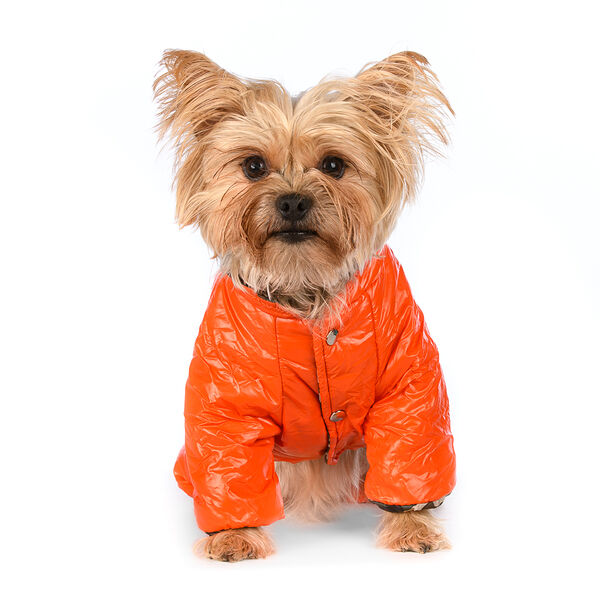 Комбинезон для собак AirForce 2XL оранжевый (унисекс)