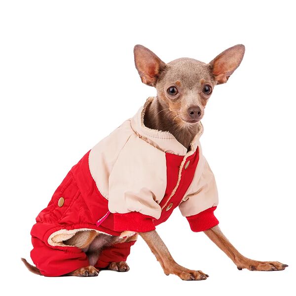 Комбинезон для собак S бежевый (унисекс)