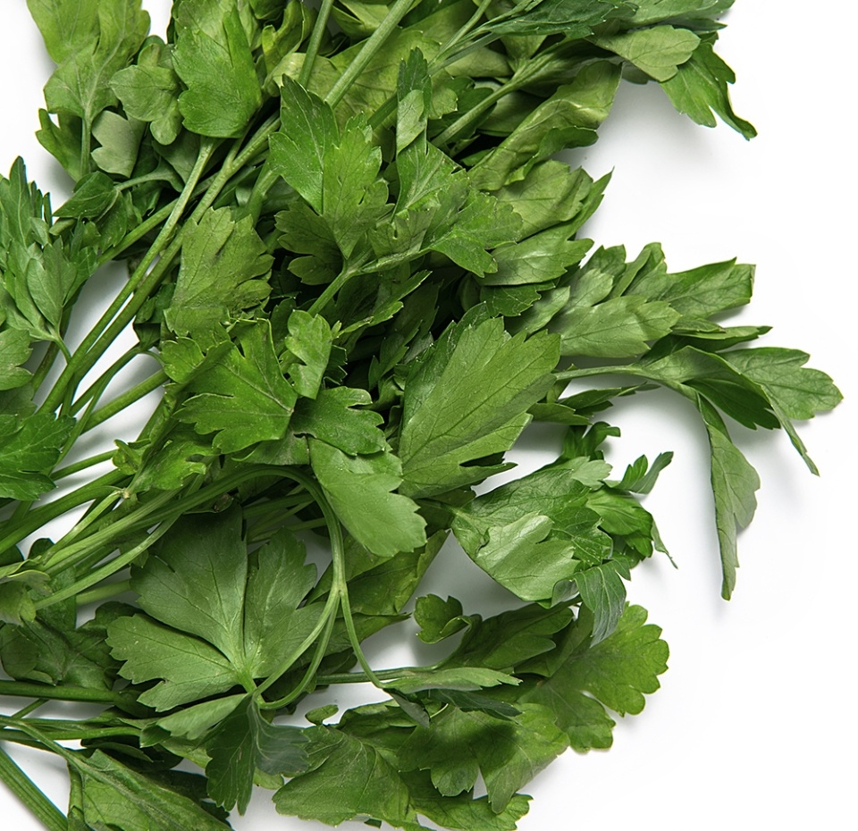 

Петрушка Просто Азбука 50 г