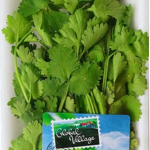 Кинза Global Village 30г