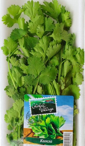 Кинза Global Village 30г