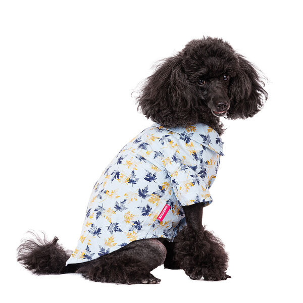 Рубашка для собак XL голубой (унисекс)