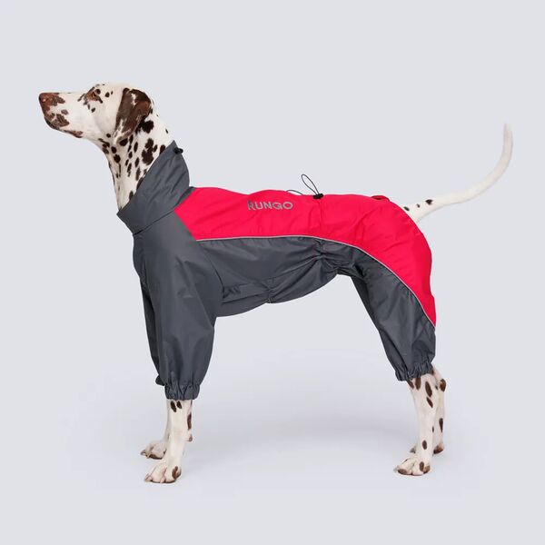 Дождевик Rungo для среднего пуделя, 44 см, размер 3XL