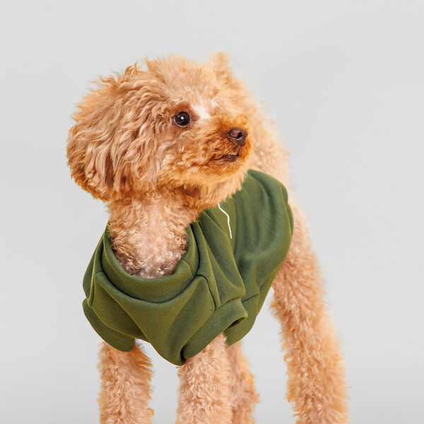 Толстовка для собак, XL, зеленая