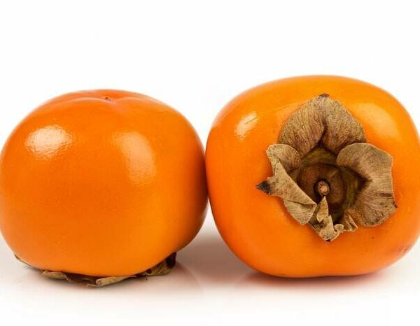 Хурма королек узбекистан