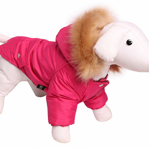 Lion Зимняя куртка для собак 