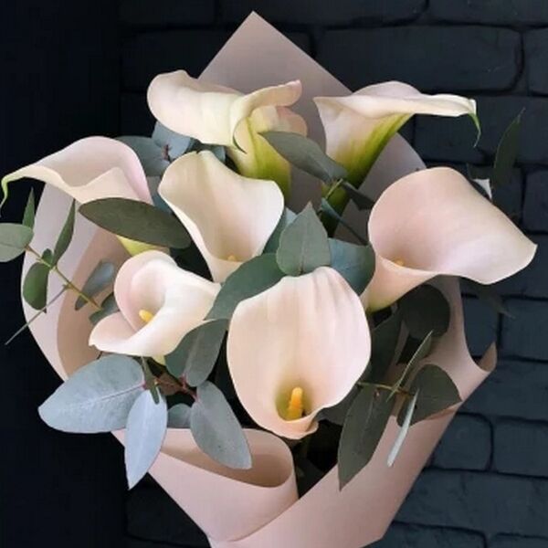 Букет из белых калл