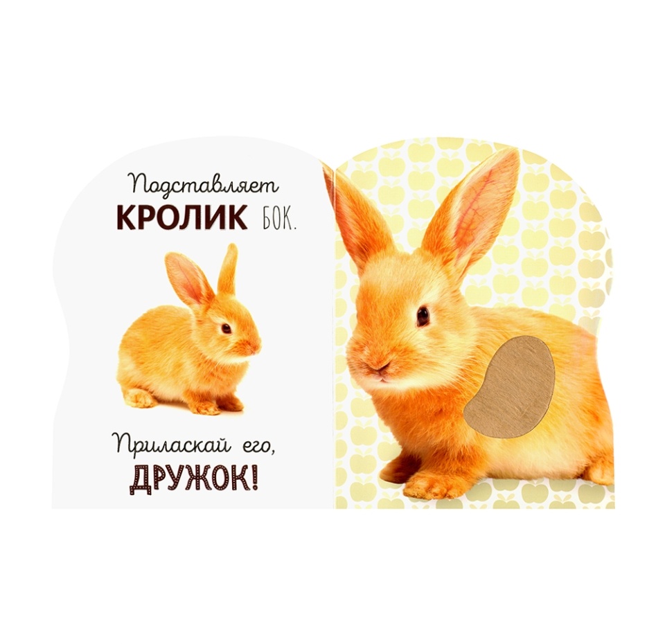 

Книга Погладь меня! Ушки и лапки/Мои любимцы. Албул Елена, Россия