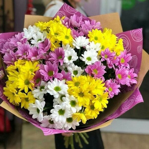 11 хризантем