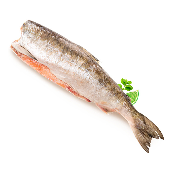 

Белый амур Лента Fresh потрошеный охлажденный