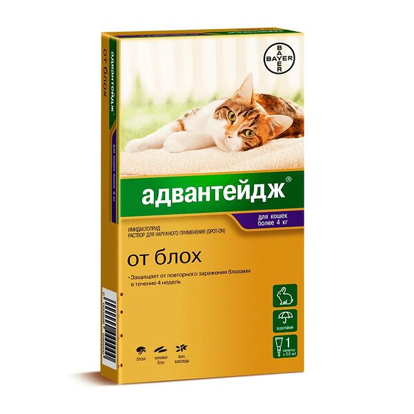 Капли от блох Адвантейдж для кошек более 4 кг 0.8 мл х 1 шт.