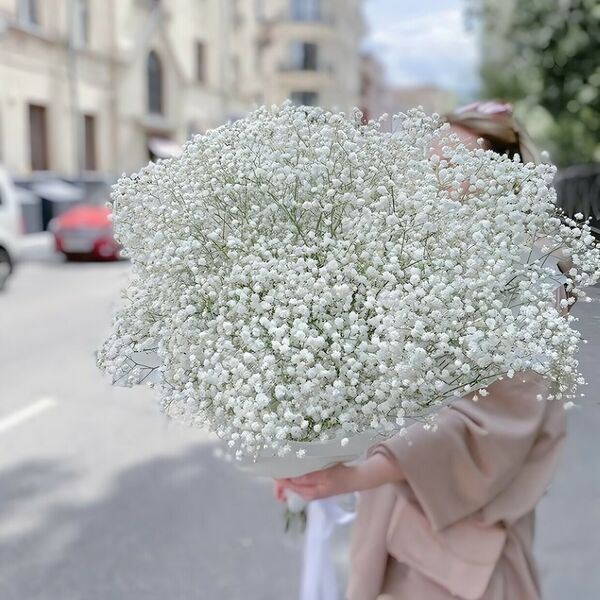 Нежное облако гипсофил