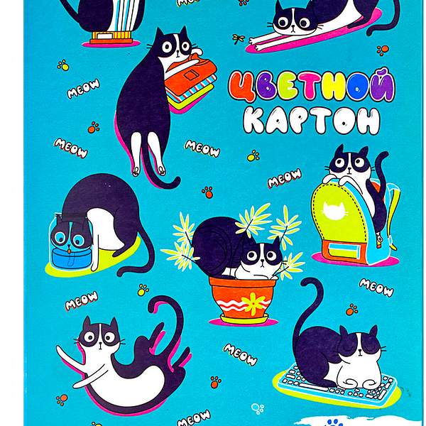 Картон цветной Феникс А4 папка 10 цветов 10 листов