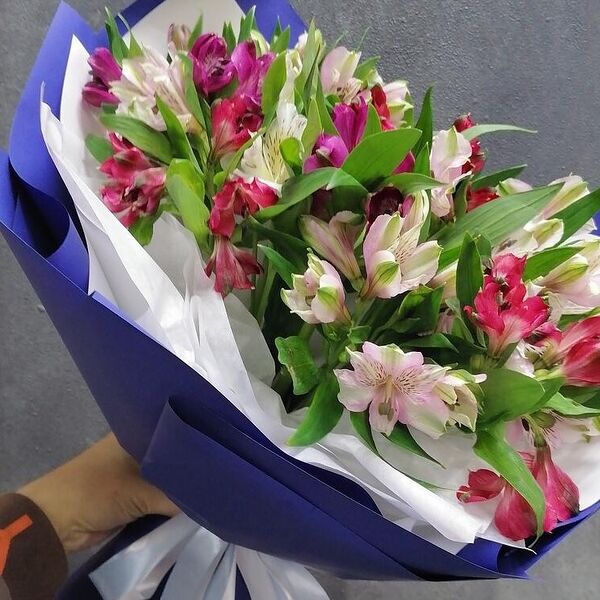 11 альстромерий микс